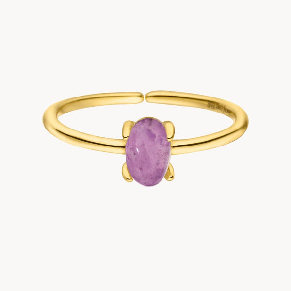 Amethyst-Ring gold damen leselles