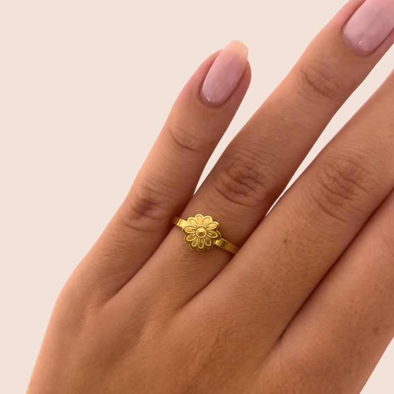Flower Fidget Ring - Leselles